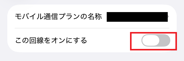 現地でデータ通信をオンにする画面